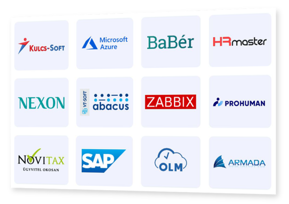 Representation image for Custom development and integrations